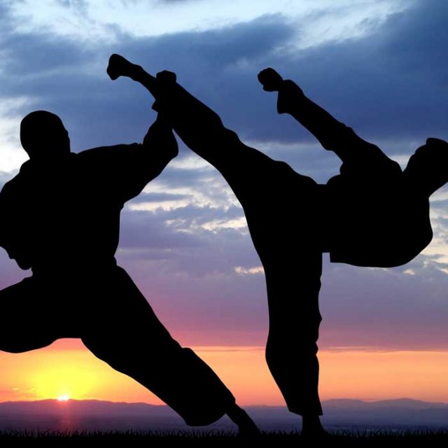 karate palestra fututra